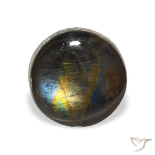 Spectrolite Multicolore naturelle Tour, 1.59 ct, Opaque