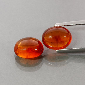 Achetez naturel ct orange grenat spessartite gems, transparent, en provenance mozambique chez gemselect. en stock, livraison internationale!