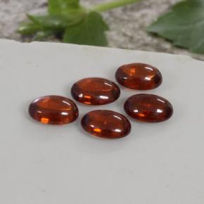 Achetez naturel 4,97ct orange grenat spessartite gems, transparent, en provenance mozambique chez gemselect. en stock, livraison internationale!
