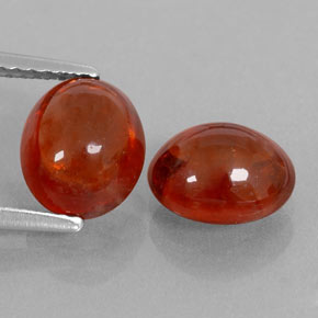 Achetez naturel ct orange grenat spessartite gems, transparent, en provenance mozambique chez gemselect. en stock, livraison internationale!