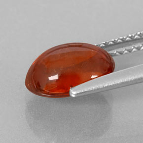 Grenat spessartite orange naturelle transparent, 2,48 ct, transparent / translucide