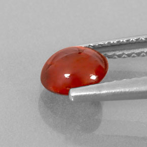 Grenat spessartite orange naturelle transparent, 1,14 ct, transparent / translucide