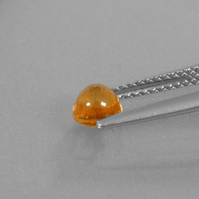 Grenat spessartite orange naturelle transparent, 0,87 ct, transparent / translucide