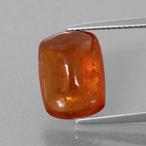 Grenat Spessartite Ambre orange naturelle Coupe coussin, 11.19 ct, Transparent