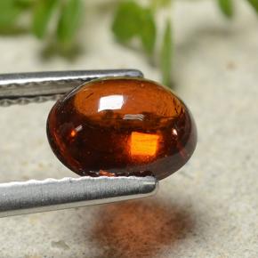 Grenat Spessartite Rouge-orange naturelle Coupe ovale, 1.69 ct, Translucide