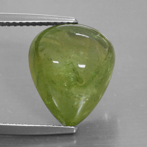 Sphène vert naturelle transparent, 10,20 ct, transparent / translucide
