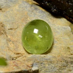 Sphène vert naturelle coupe ovale, 5,04 ct, translucide