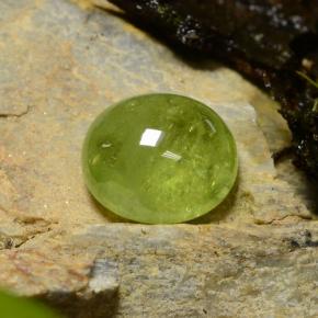 Sphène vert naturelle coupe ovale, 5,04 ct, translucide