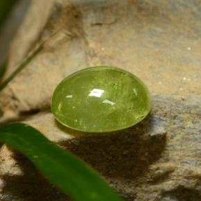 Sphène vert naturelle coupe ovale, 5,04 ct, translucide