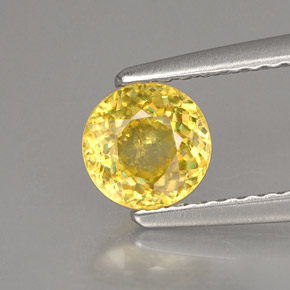 Sphène jaune naturelle coupe roude, 0,73 ct, VS