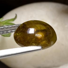 Sphène doré verdâtre naturelle coupe ovale, 2,92 ct, translucide