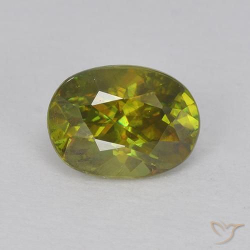 0.73ct Naturel Vert moyen-foncé Sphène, ovale, VVS-VS