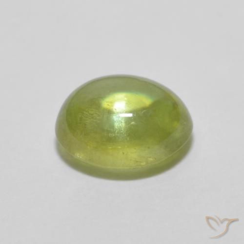 Sphène Vert forêt chaud naturelle ovale, 1.07 ct, Transparent