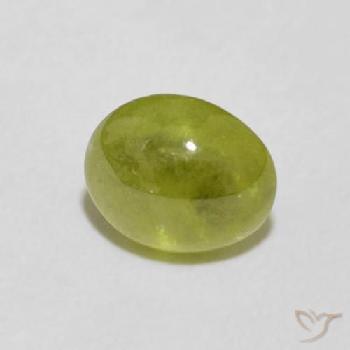 Sphène Olive verte naturelle ovale, 1.54 ct, Transparent