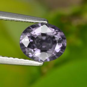 Spinelle pourpre naturelle coupe ovale, 1,21 ct, VVS-VS