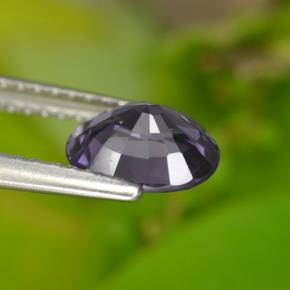 Spinelle pourpre naturelle coupe ovale, 1,21 ct, VVS-VS