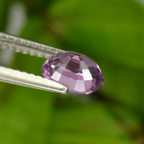 Spinelle pourpre naturelle coupe ovale, 1,19 ct, VS-SI