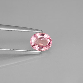Spinelle rose naturelle coupe ovale, 0,63 ct, VS
