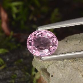 Spinelle pourpre naturelle coupe ovale, 0,60 ct, VVS-VS