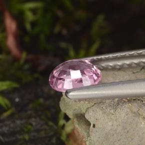Spinelle pourpre naturelle coupe ovale, 0,60 ct, VVS-VS