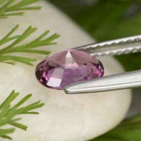 Spinelle pourpre naturelle coupe ovale, 1,15 ct, VVS-VS