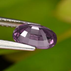 Spinelle pourpre naturelle coupe ovale, 1,08 ct, VS