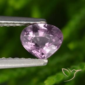 Spinelle Pourpre moyen-léger naturelle En forme de poire, 0.67 ct, VS-SI