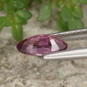 Spinelle violet naturelle marquise, 0,62 ct, VVS-VS