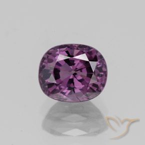 Spinelle pourpre naturelle coupe ovale, 1,27 ct, VVS-VS