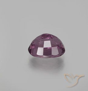 Spinelle Pourpre moyen-foncé naturelle ovale, 1.63 ct, VS