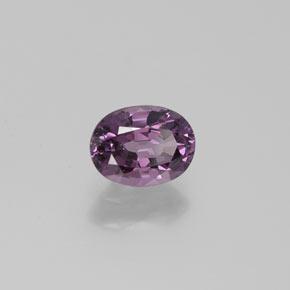 Spinelle pourpre naturelle coupe ovale, 1,60 ct, VS