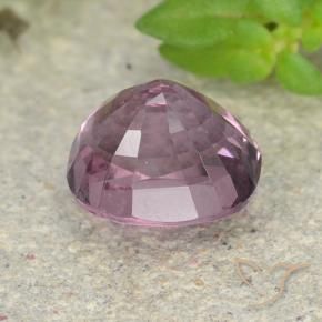 Spinelle Lavande profond naturelle Coussin, 1.21 ct, VVS-VS