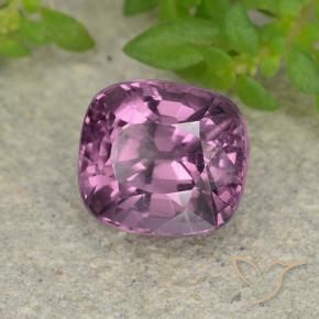Spinelle Pourpre moyen naturelle Coussin, 1.50 ct, VVS-VS
