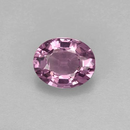 Spinelle pourpre naturelle coupe ovale, 1,63 ct, VVS