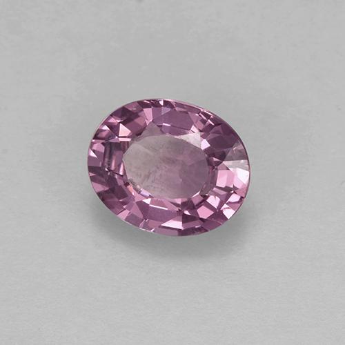 Spinelle pourpre naturelle coupe ovale, 1,63 ct, VVS