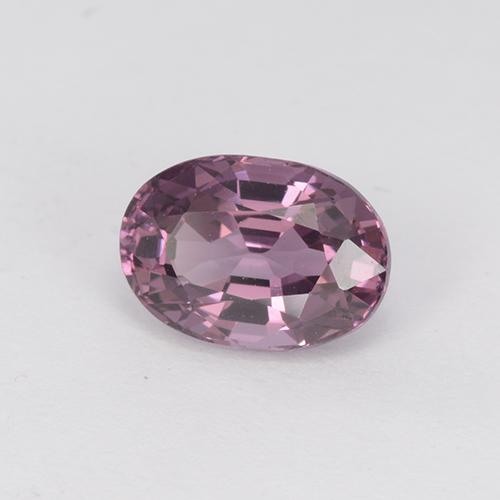 Spinelle Pourpre moyen-foncé naturelle Coupe ovale, 1.24 ct, VVS-VS