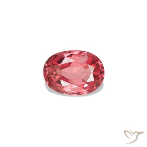 Spinelle Rouge écarlate léger naturelle Coupe ovale, 0.21 ct, VVS