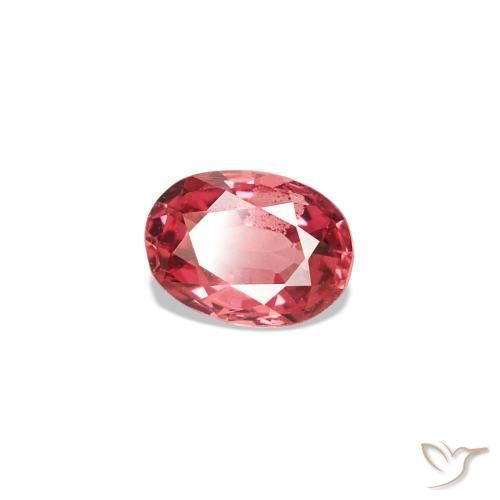 Spinelle Rouge écarlate léger naturelle Coupe ovale, 0.21 ct, VVS