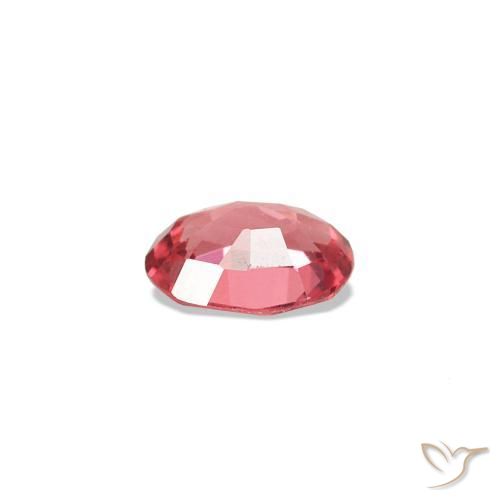Spinelle Rouge écarlate léger naturelle Coupe ovale, 0.21 ct, VVS
