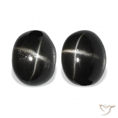 12.73ctw Naturel Noire Diopside étoilé, ovale, Opaque