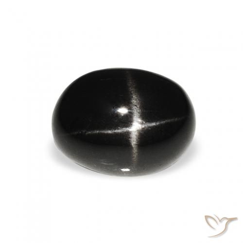 1.44ct Naturel Noire Diopside étoilé, ovale, Opaque