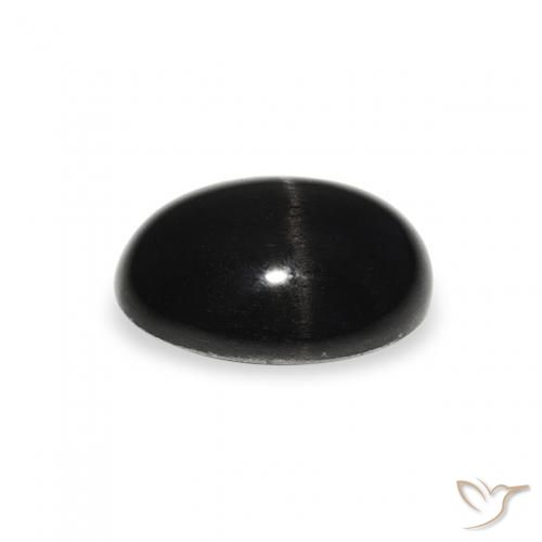 Diopside étoilé Noire naturelle ovale, 1.44 ct, Opaque