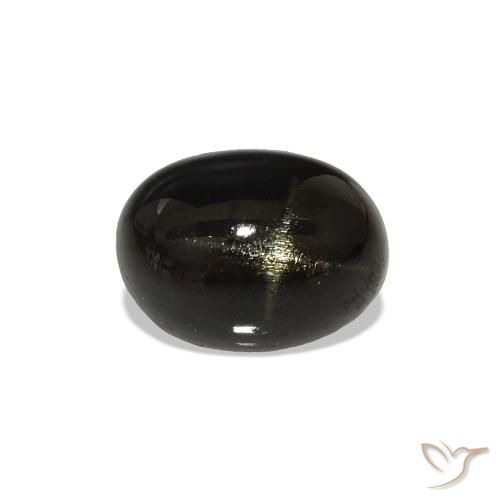 Diopside étoilé Noire naturelle ovale, 1.38 ct, Opaque