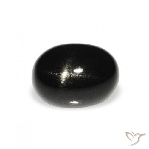 1.47ct Noire Diopside étoilé, ovale, Opaque