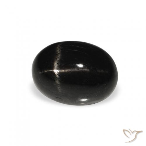 Diopside étoilé Noire naturelle ovale, 1.33 ct, Opaque