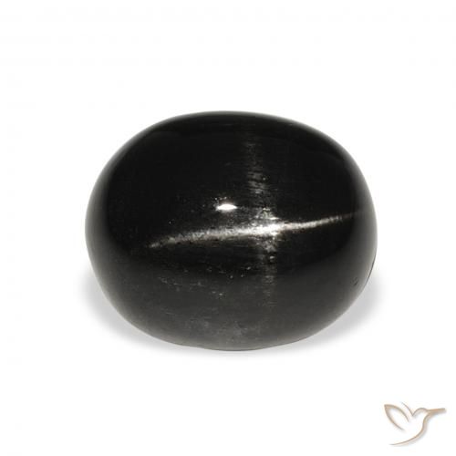 6.19ct Naturel Noire Diopside étoilé, ovale, Opaque
