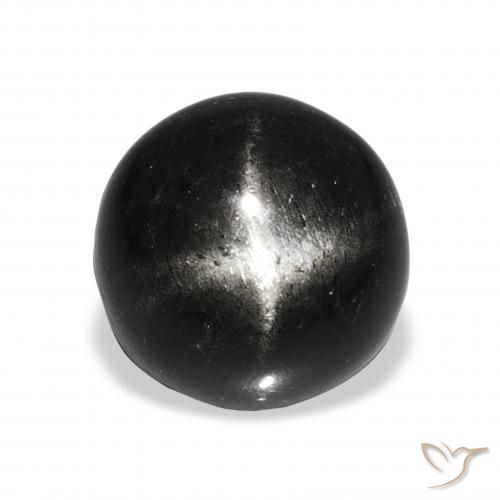 11.09ct Noire Diopside étoilé, Tour, Opaque