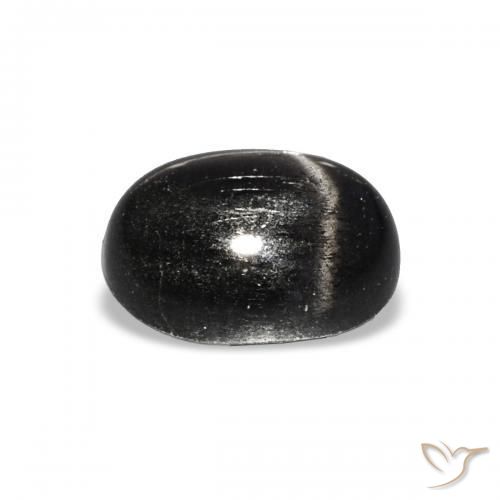 Diopside étoilé Noire naturelle ovale, 1.81 ct, Opaque