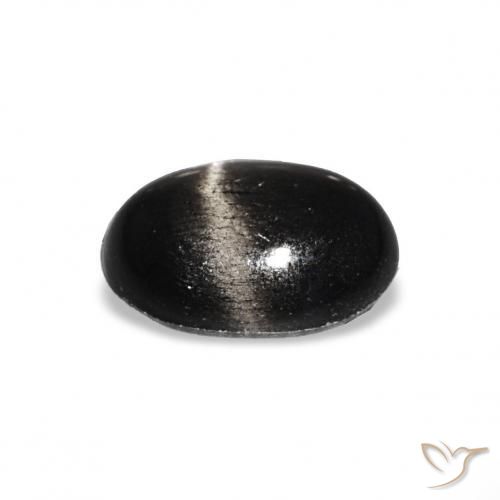 Diopside étoilé Noire naturelle ovale, 1.55 ct, Opaque
