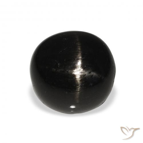 6.00ct Naturel Noire Diopside étoilé, Tour, Opaque